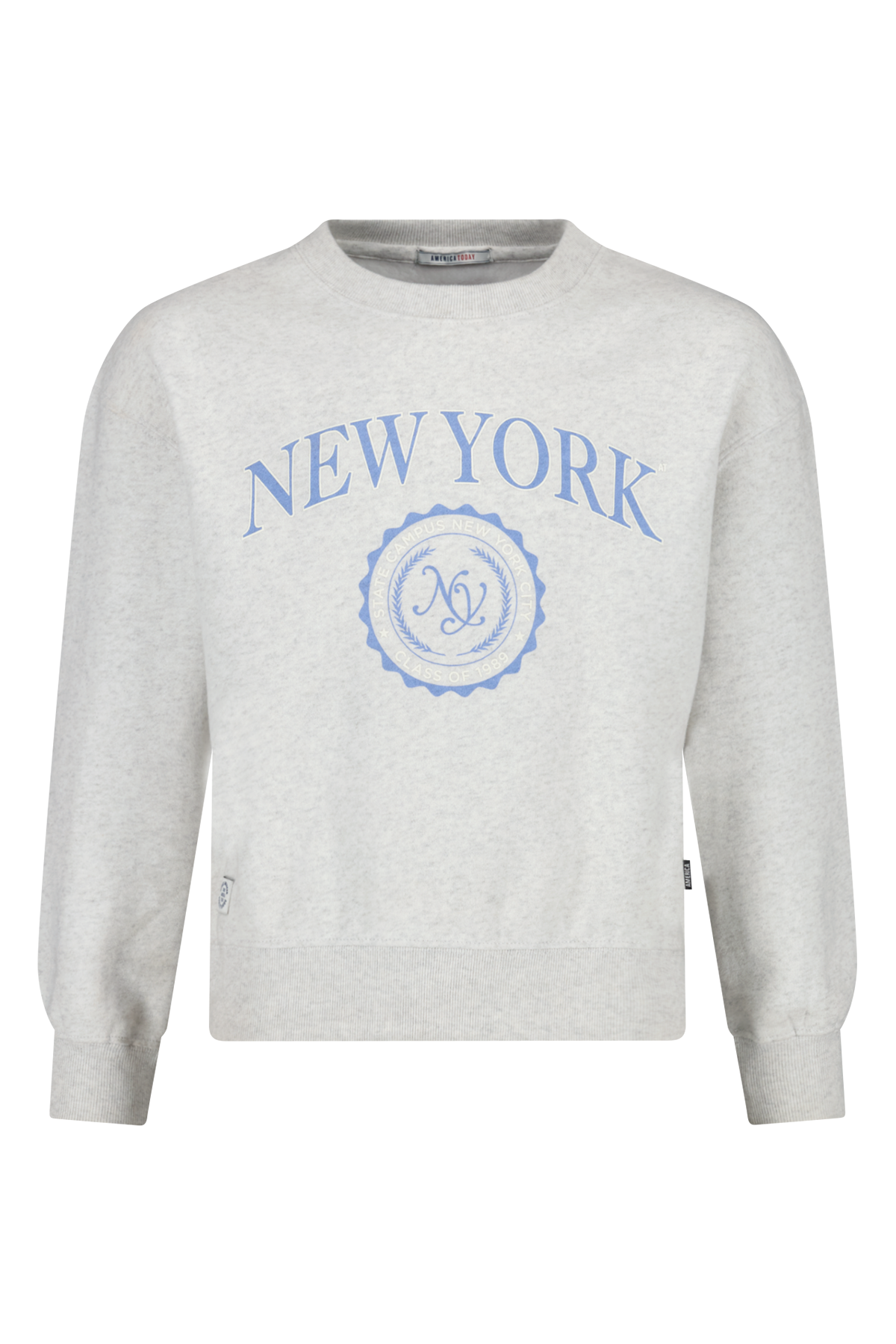 Meiden 158 Truien Meiden 164 Girls Sweater Sage JR Light Grey Melange