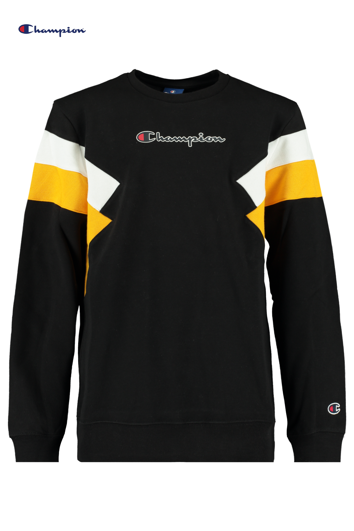 blue sweater champion