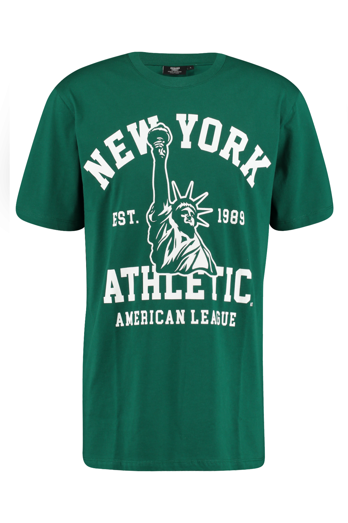 Men T-shirt New York Bottle green | America Today